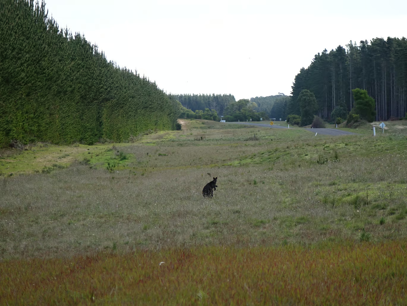 unnamed_file_from_newatlas.com.jpg_92(18).jpg