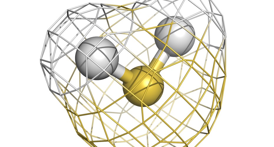 HydrogenSulfideshutterstock_124139041-newww.jpg