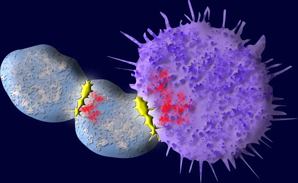 T-Cells-in-Blue-Find-Antigens-and-Kill-Cancer-Cells.webp