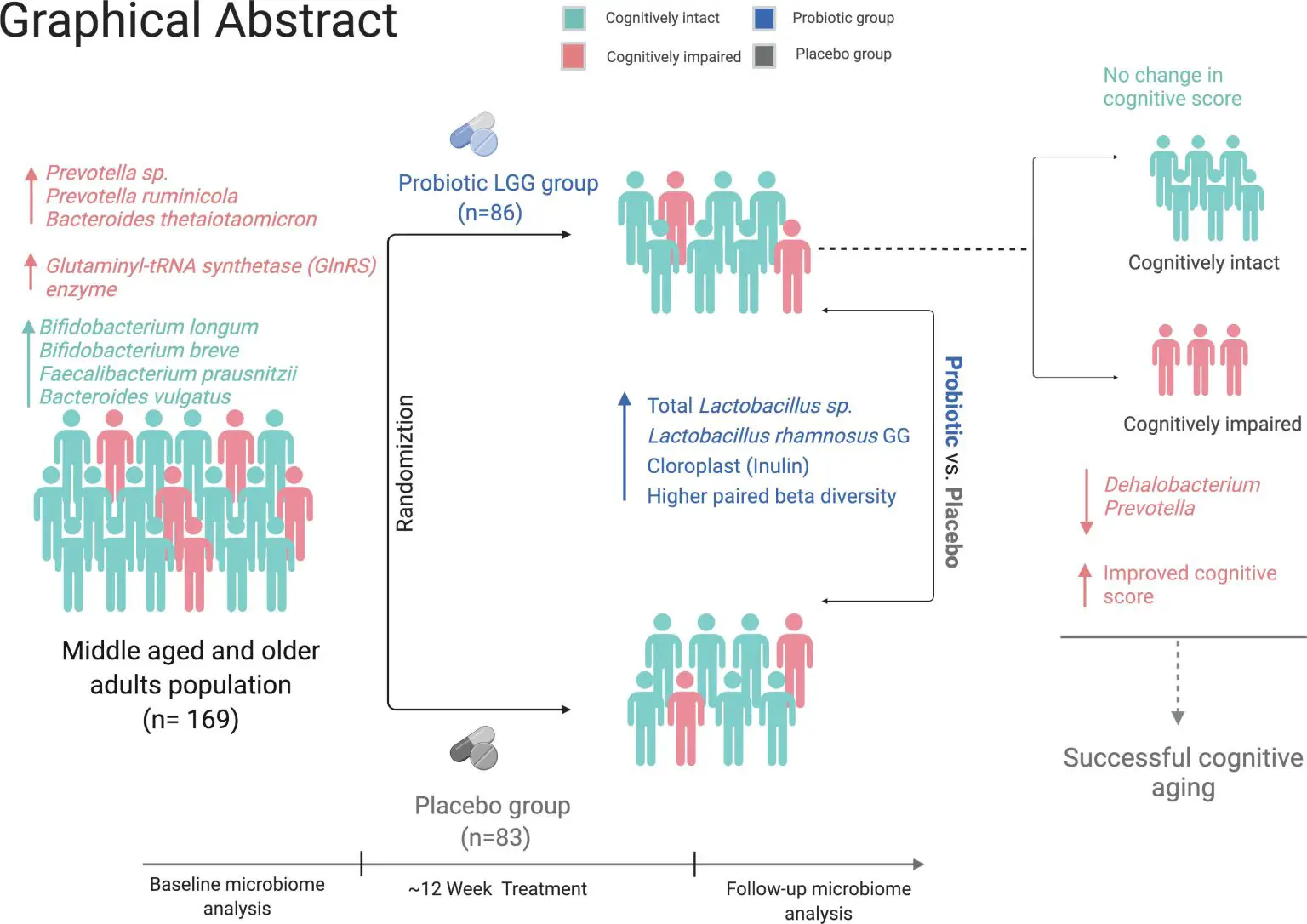 Graphical-Abstract-Probiotic-Brain-Decline-1536x1086.webp