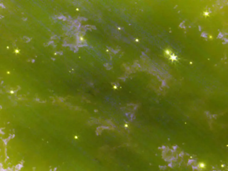 Ring-Nebula-Close-Webb.webp