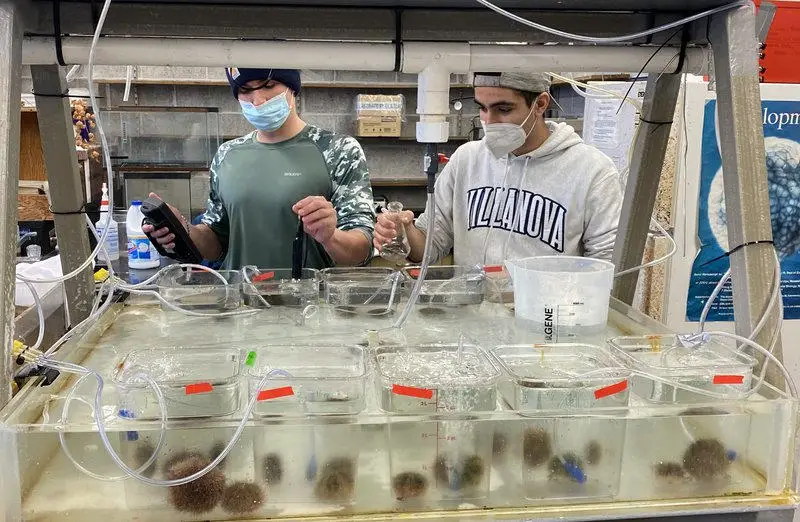 Andrew-Moura-and-Jack-Cucchiara-Salinity-Level-Check.webp