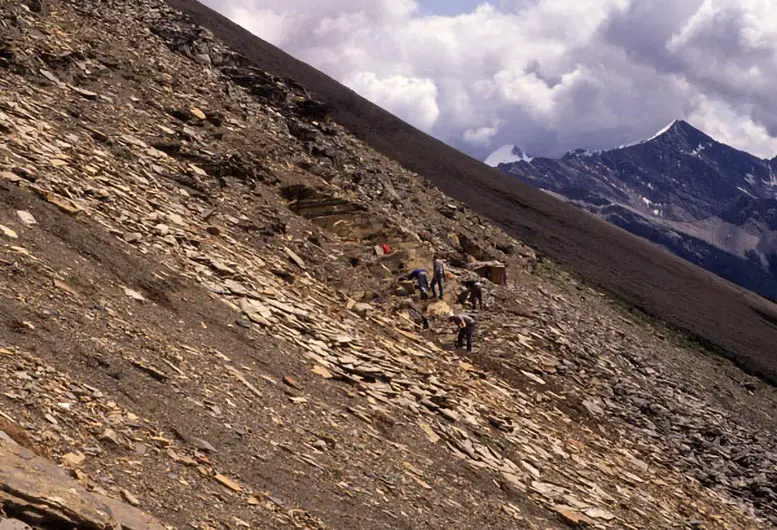 Burgess-Shale-Fieldwork-Site.webp