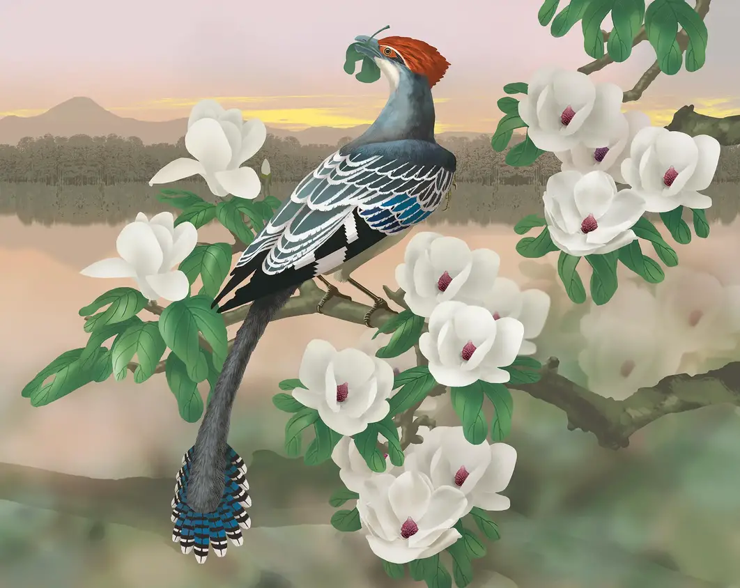 Reconstruction-of-the-Cretaceous-Bird-Jeholornis-Eating-Leaves.webp