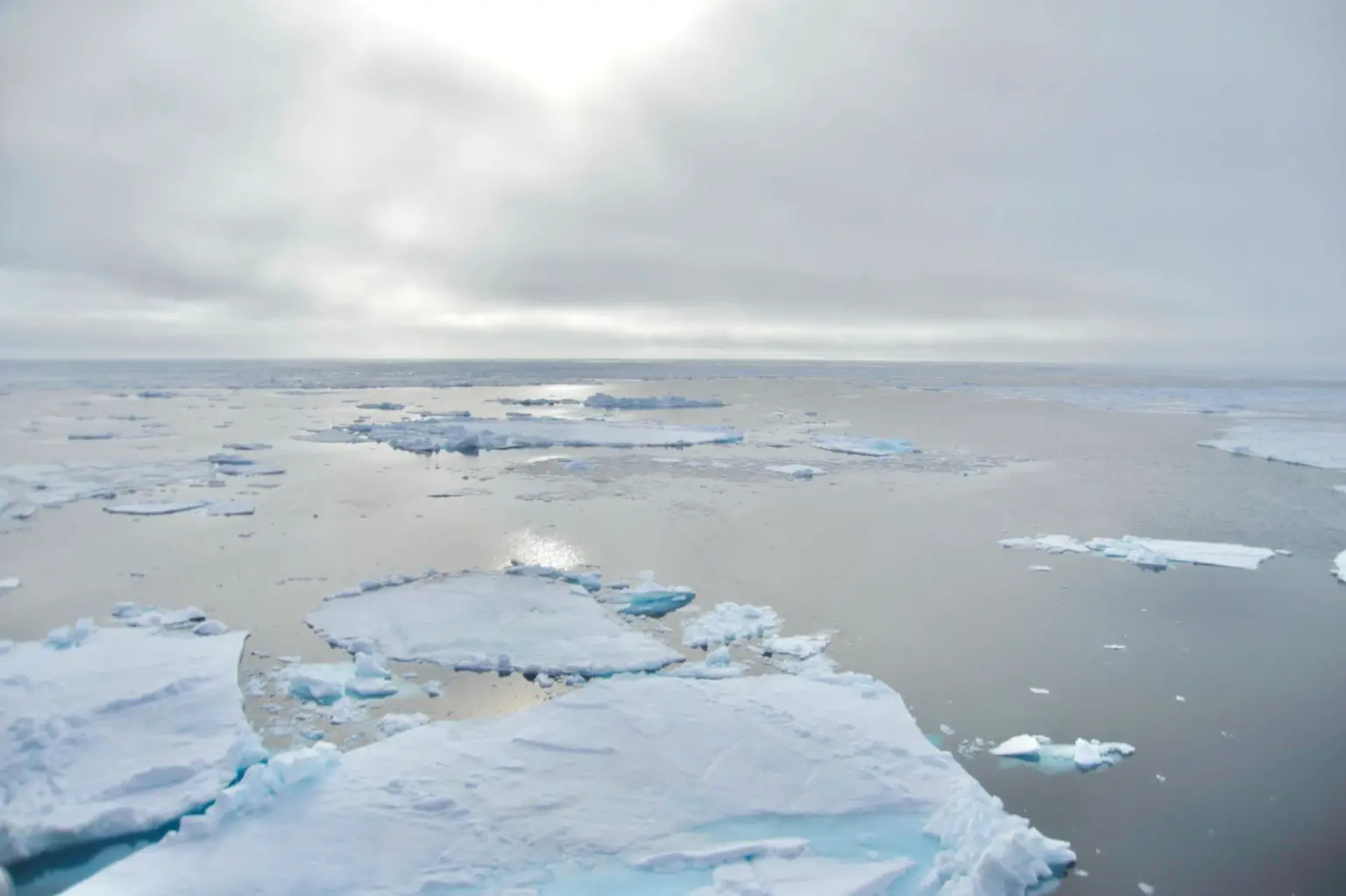 Marginal-Ice-Zone-of-the-Arctic-Ocean-1536x1022.webp