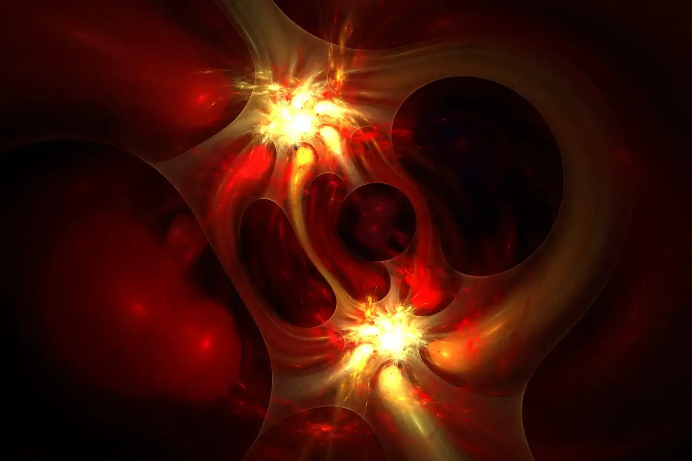 Heart-and-Blood-Vessels-2048x1365.webp