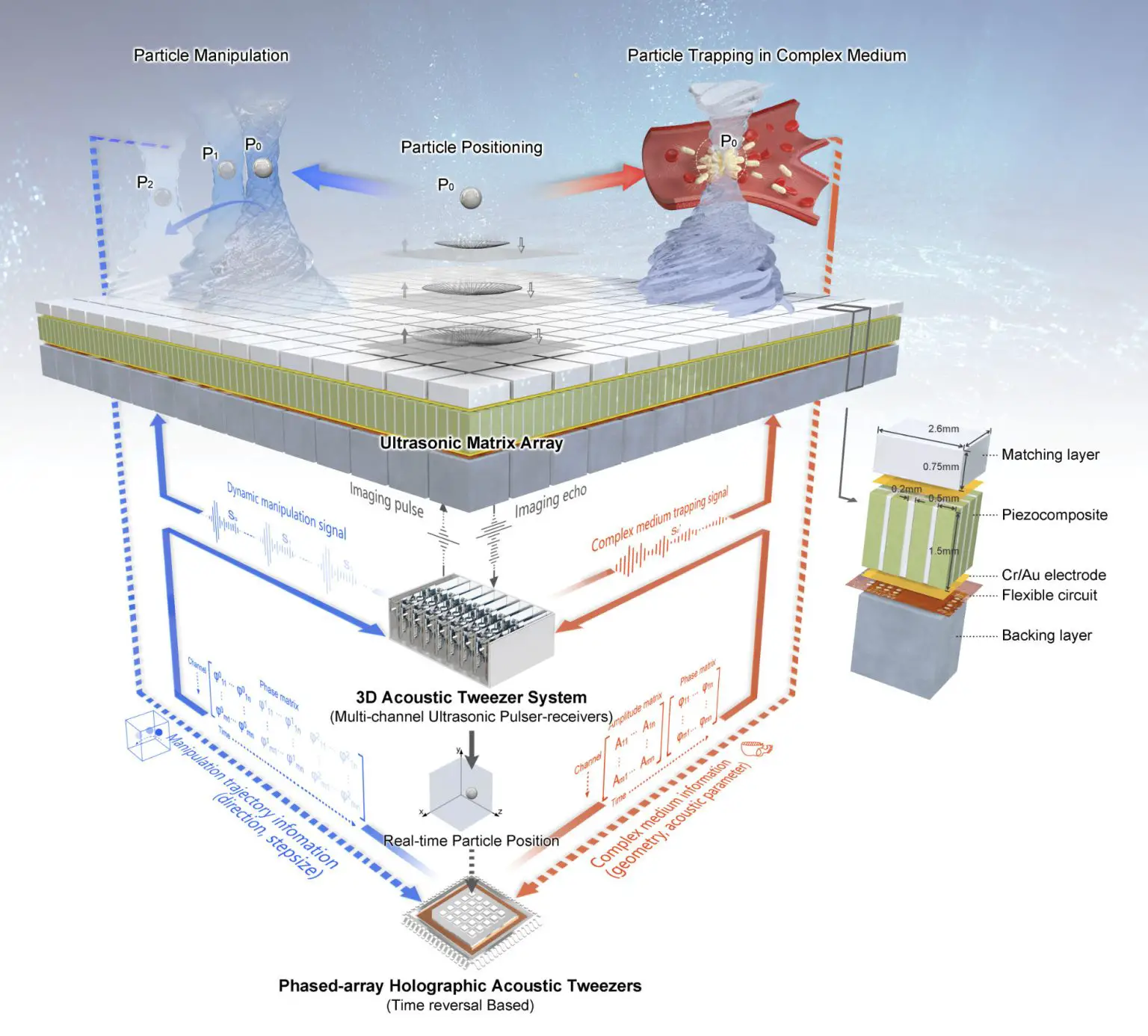 Schematic-Diagram-of-Phased-Array-Holographic-Acoustic-Tweezers-PAHAT-System-1536x1386.webp