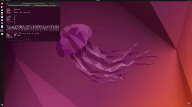 image.webp