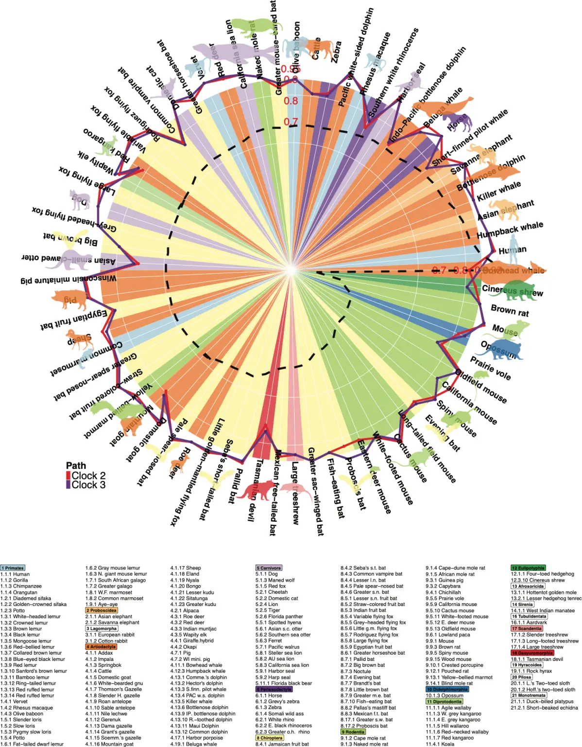 Circle-Plot-Shows-the-Correlation-Between-Age-and-DNA-Methylation-Age-1198x1536.webp