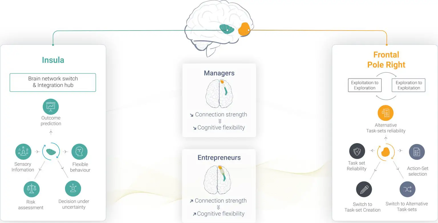 Entrepreneurs-and-Managers-Brain-1536x782.webp