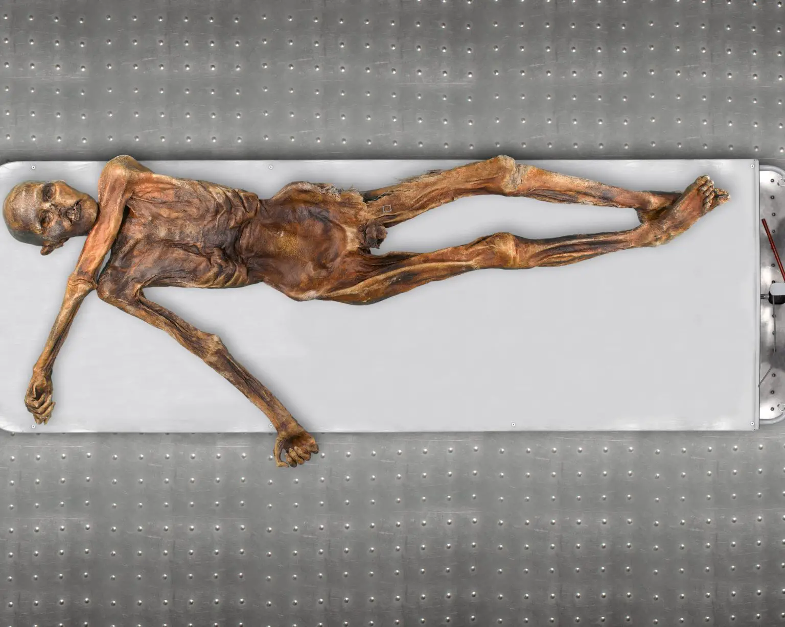 Neolithic-Tyrolean-Iceman-Otzi-1536x1228.webp