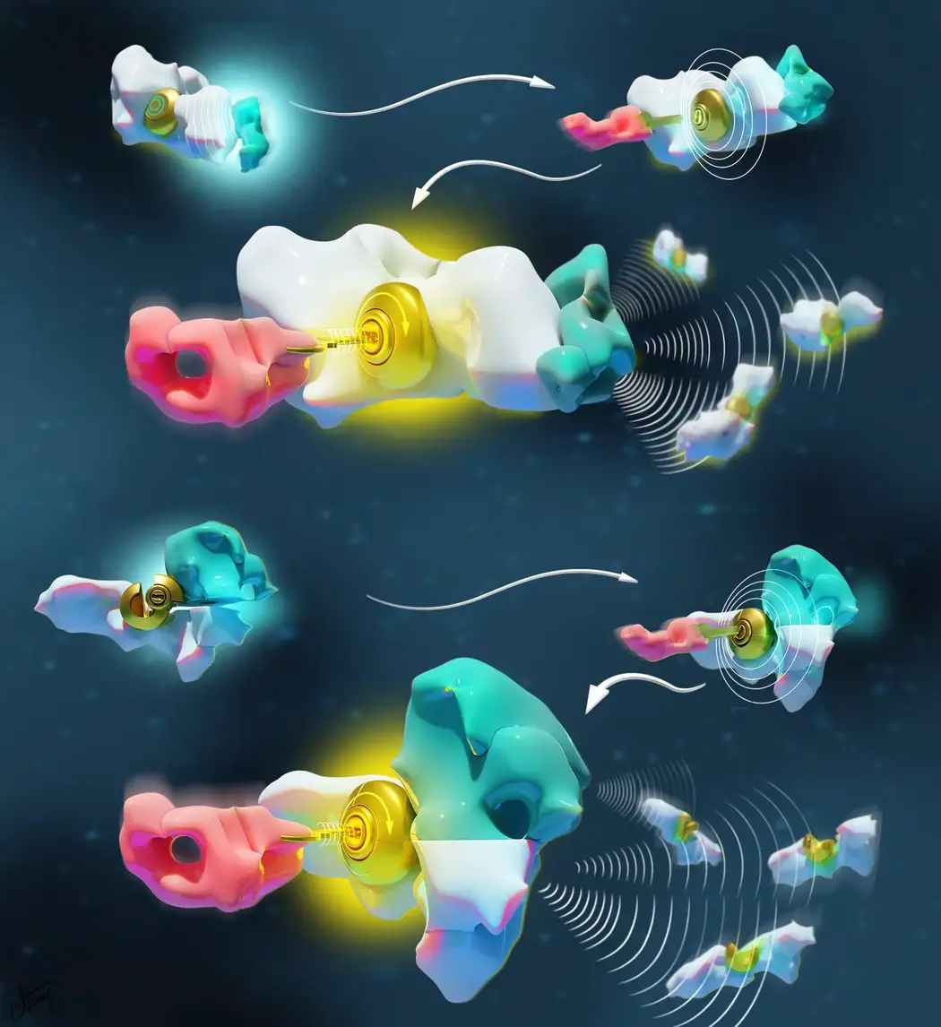 Languages-at-the-Basis-of-Molecular-Communication-1876x2048.webp
