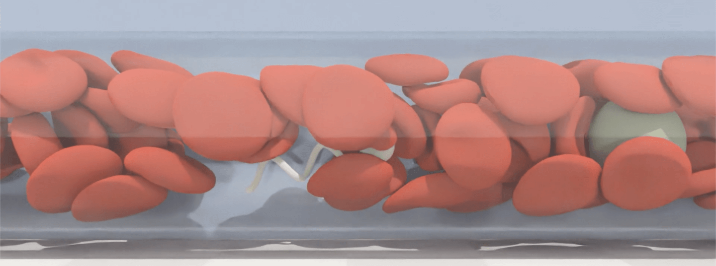 unnamed.png