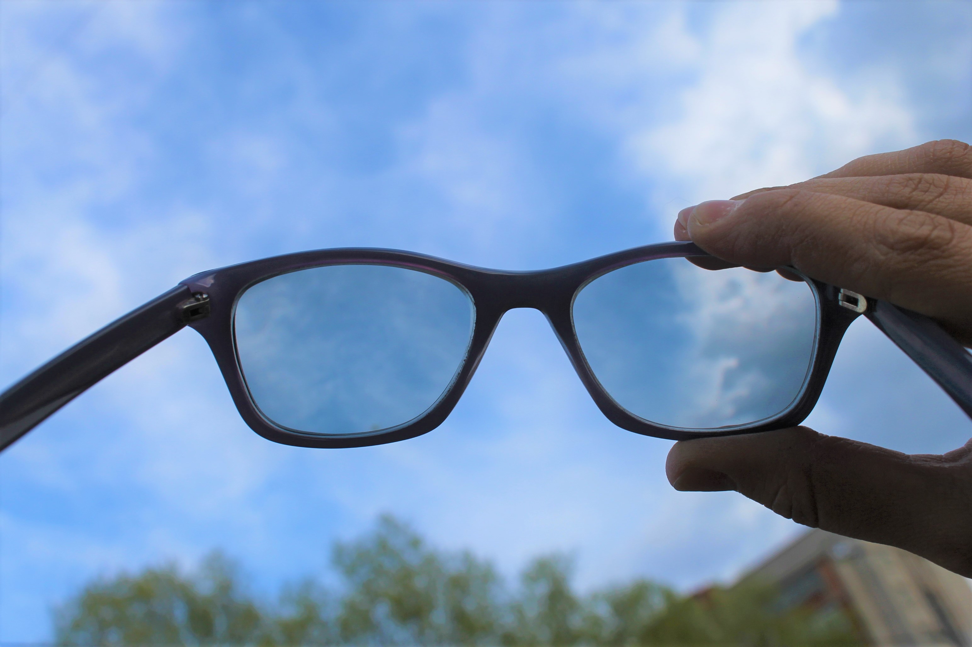 The_world_through_the_chameleon_glasses.jpg