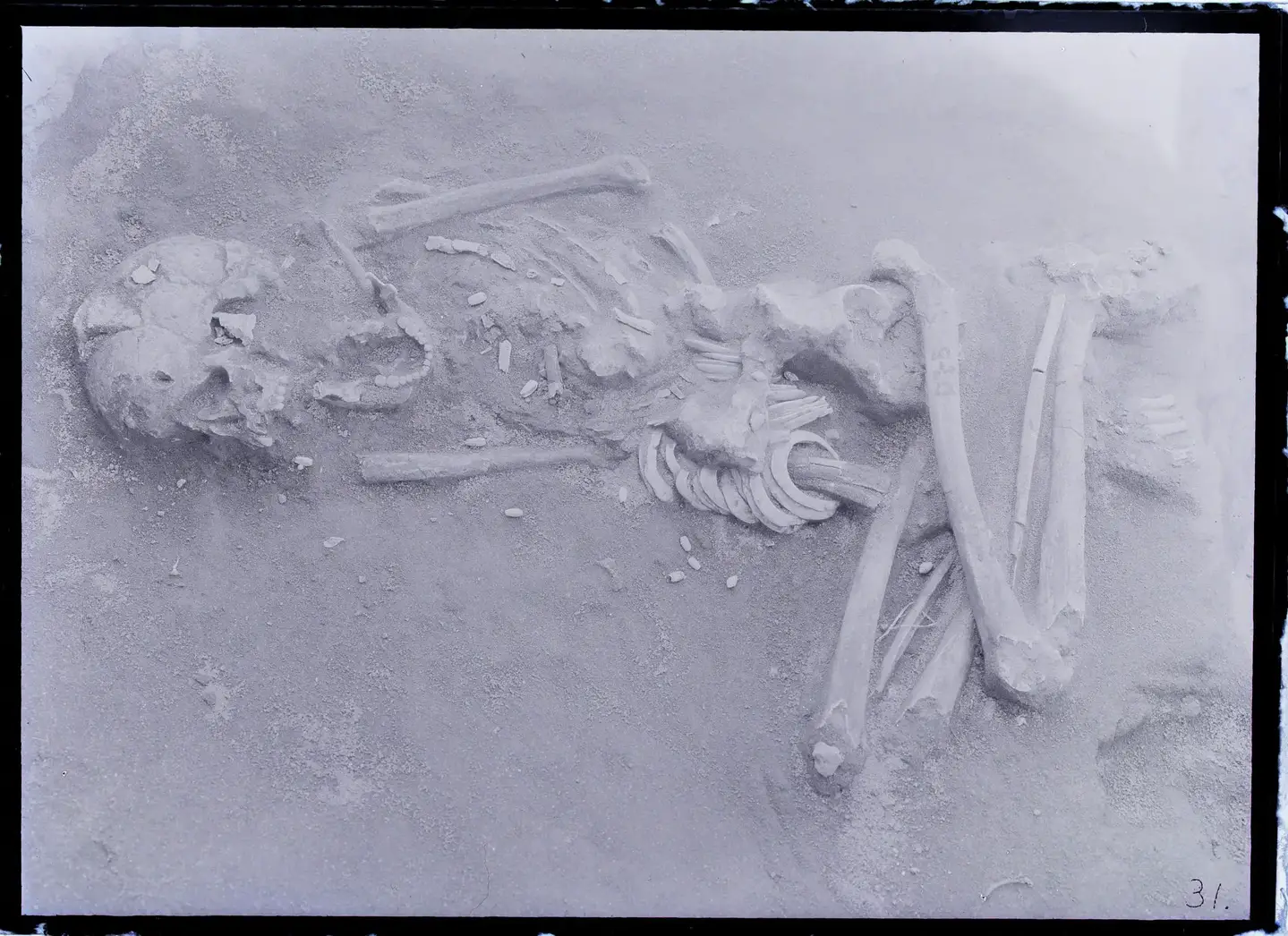 Skeletal-Remains-From-the-Hirota-Ruins-2048x1489.webp