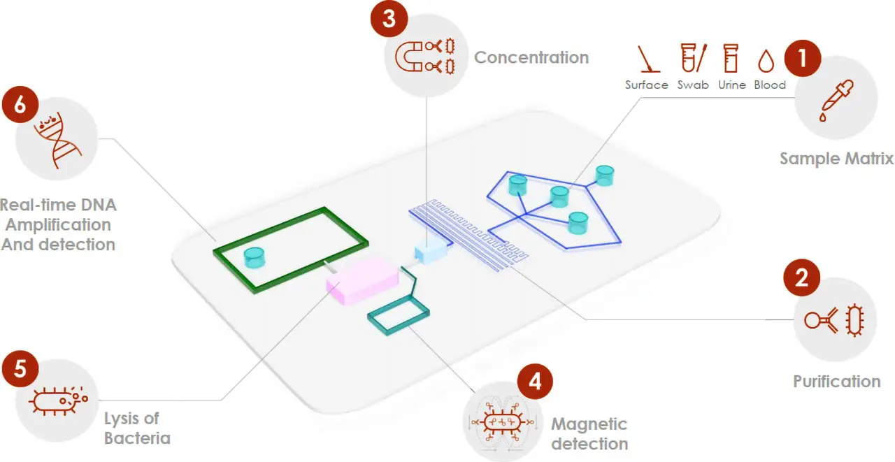 Bactometer-Device-Schematic.webp