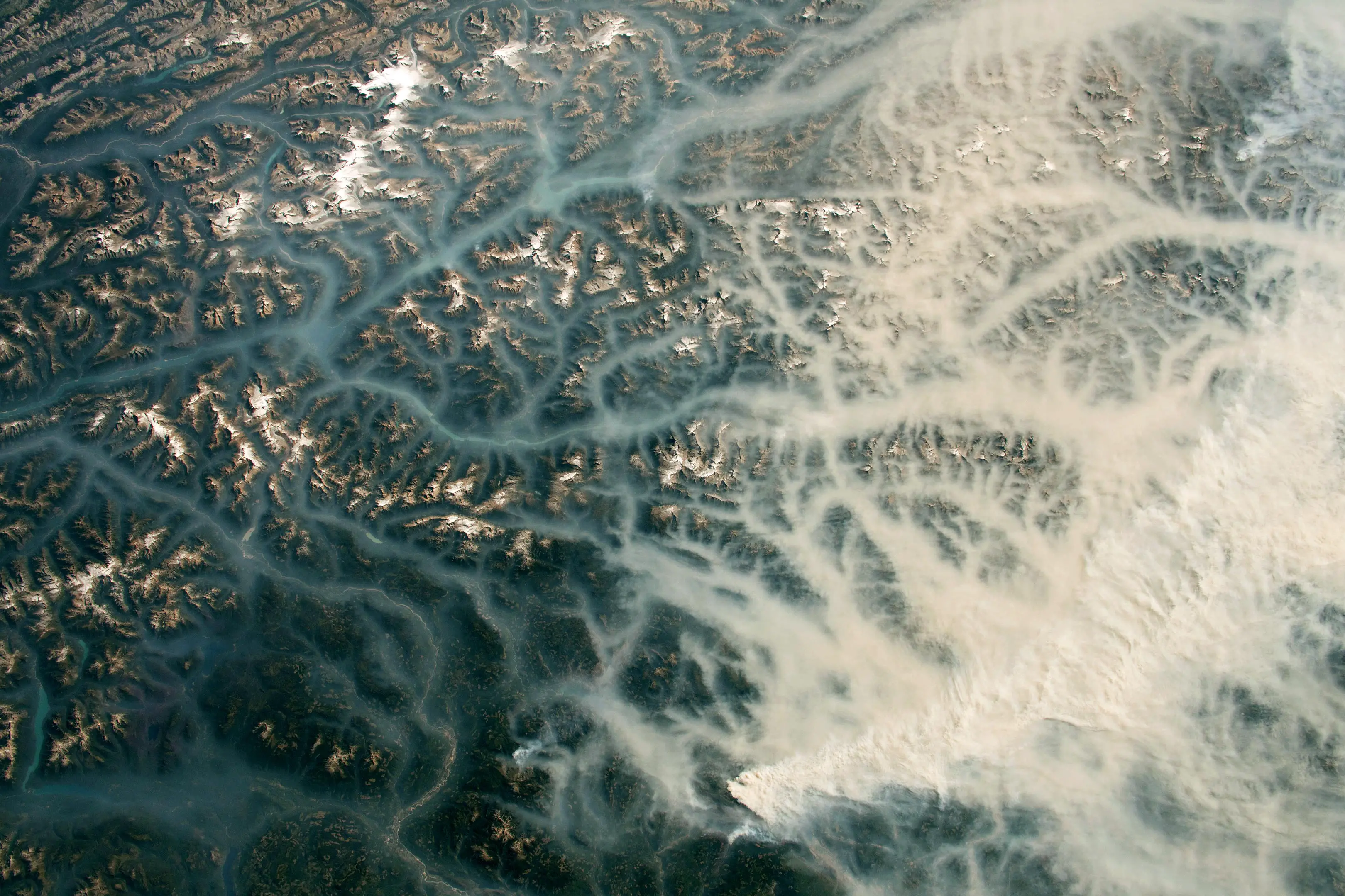 Pacific-Northwest-Smoke-ISS-August-2023.webp