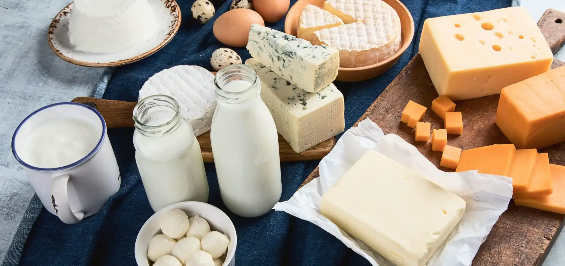Dairy-Products.webp