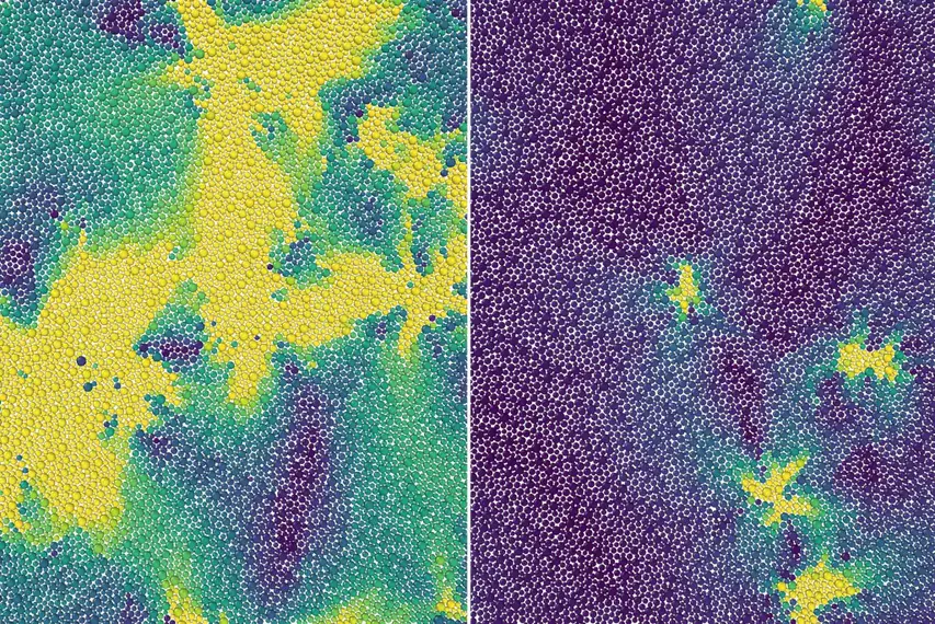 2D-Material-Glassy-Phase.webp