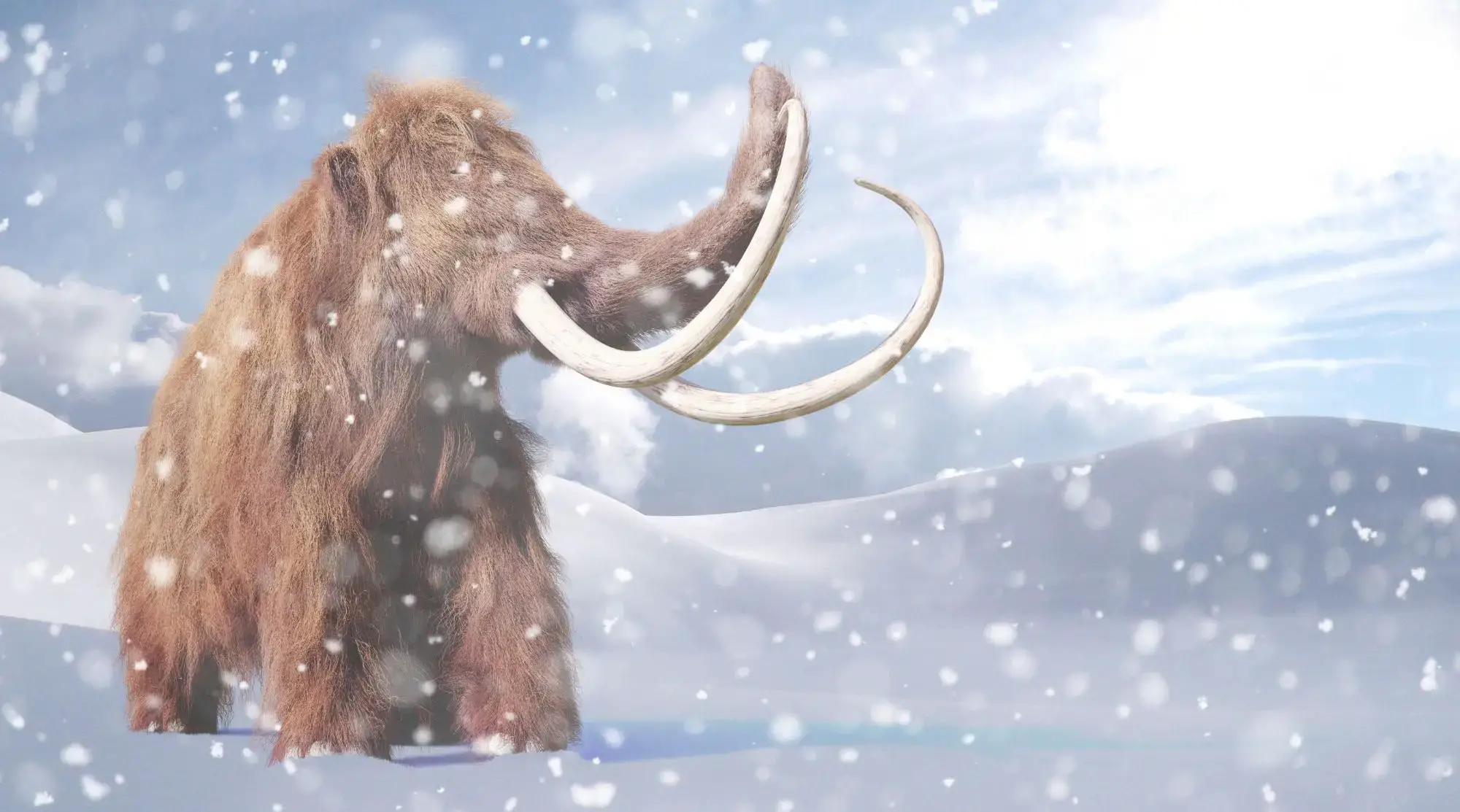 Wooly-Mammoth.webp