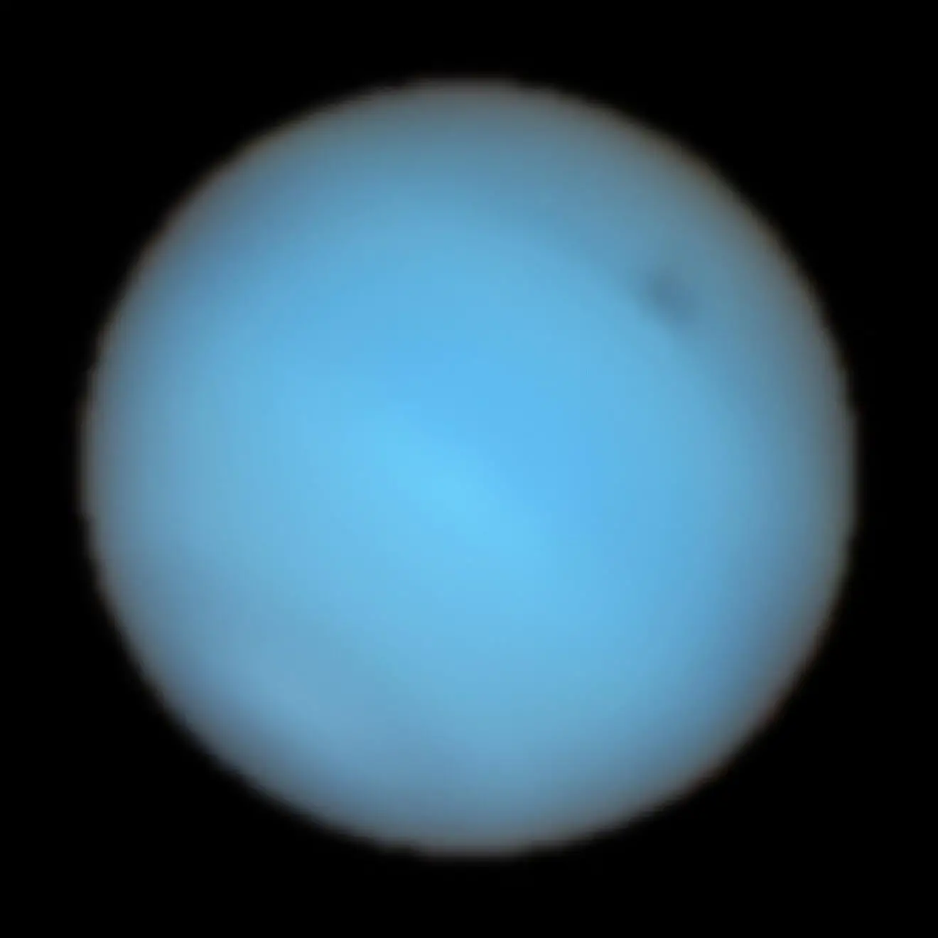 Neptune-Natural-Wiew-MUSE.webp