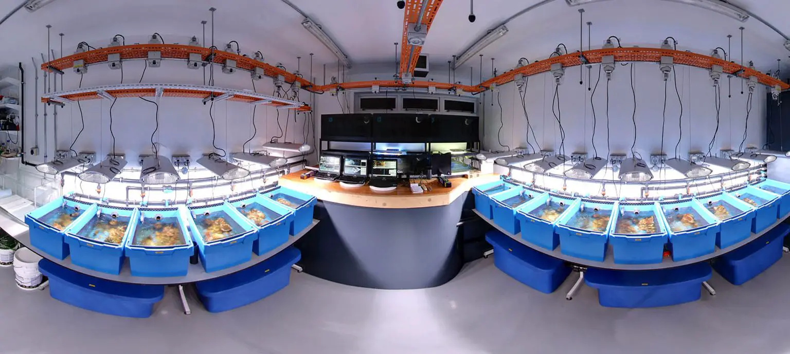 Coral-Reef-Laboratory-at-the-University-of-Southampton-1536x689.webp