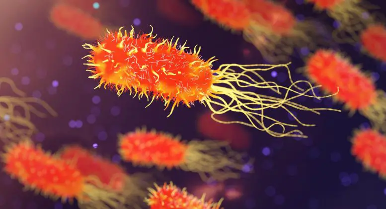 Superbug-Illustration-777x421.webp