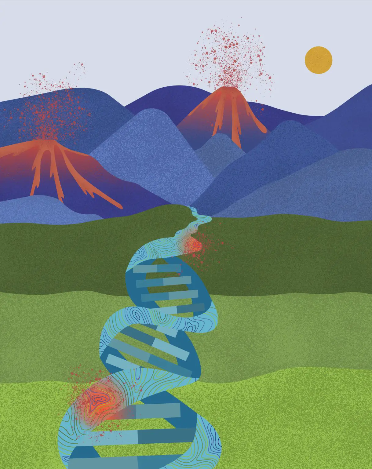 Genome-Topography-Influences-Where-Cancer-Mutations-Thrive-1218x1536.webp