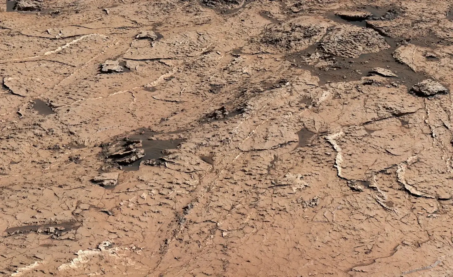 Curiosity-Views-Mud-Cracks-Close-Up-2048x1253.webp