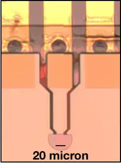 Surface-Normal-Nonlinear-Photodetector.webp