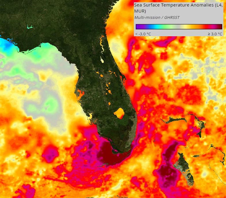florida_anomaly_colorbar_art.JPG
