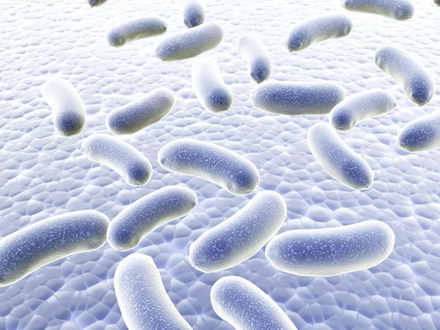 Silver-Bacteria-White-1536x1152.webp