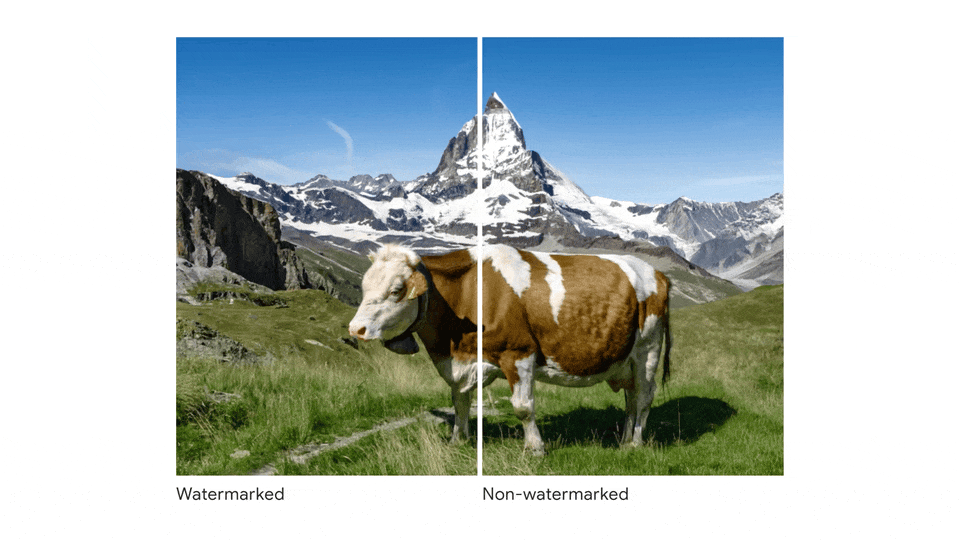 64e75f4161722a327d968b5c_synthid_watermark_lo.gif
