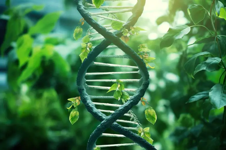Green-DNA-Plants-777x518.webp