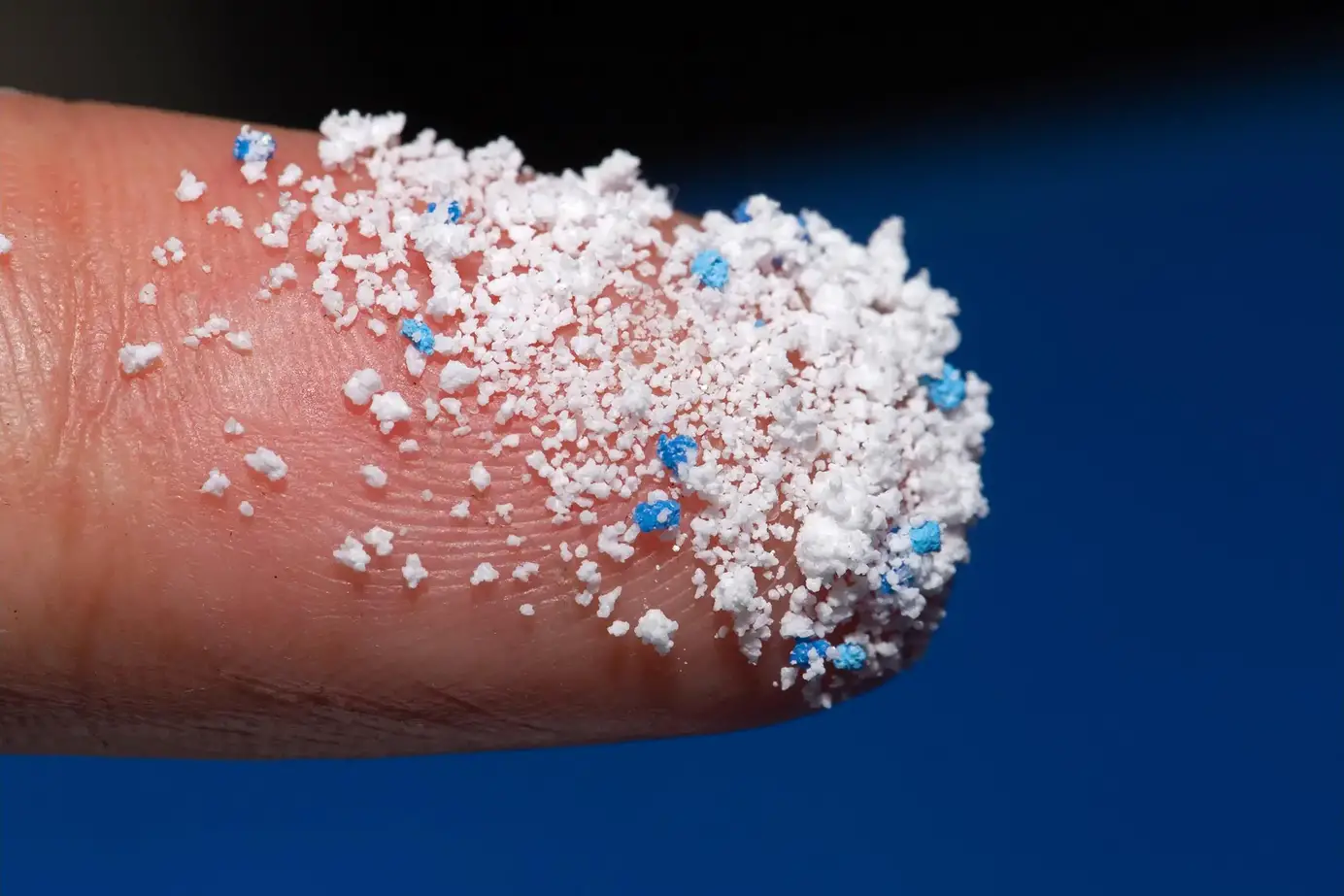 Microplastic-on-Finger.webp
