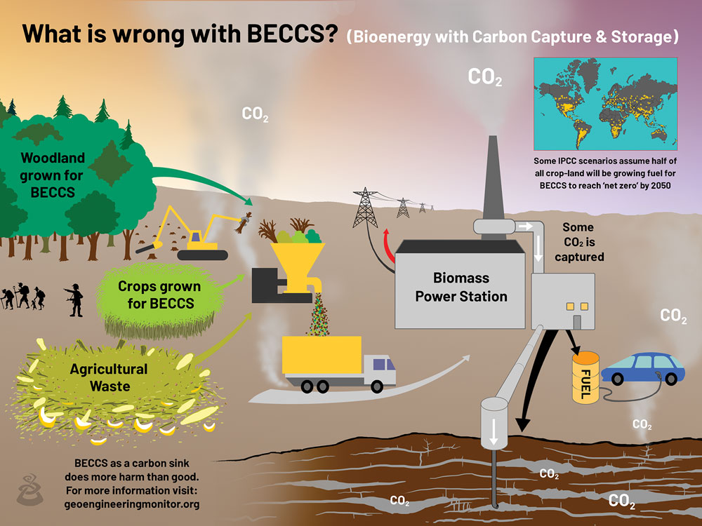 BECCS_diagram_4web.jpg