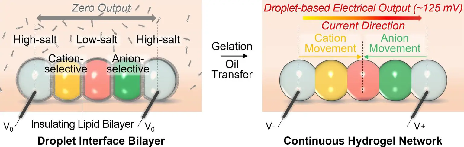 Droplet-Battery-Diagram-1536x489.webp