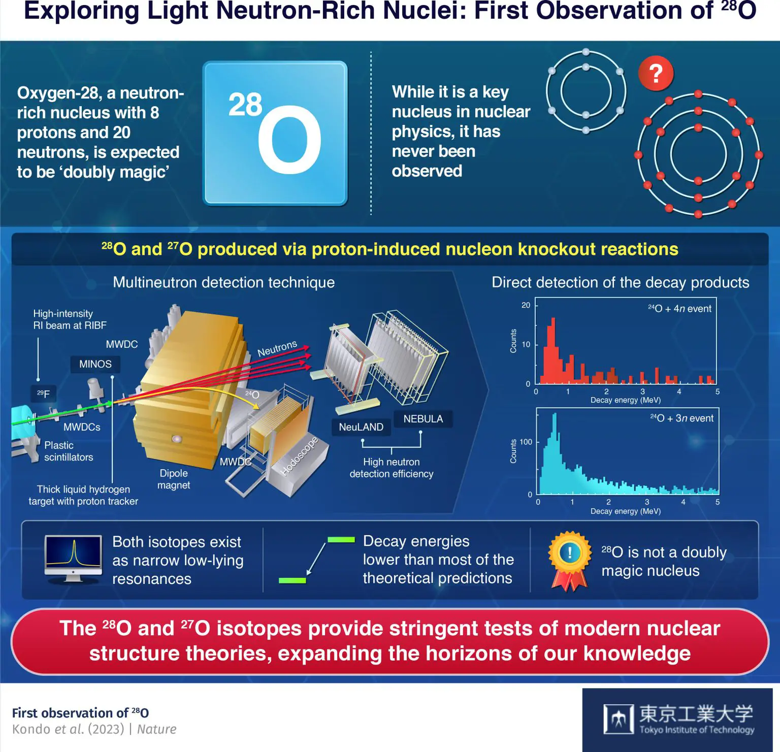 First-Observation-of-28O-Infographic-1536x1481.webp