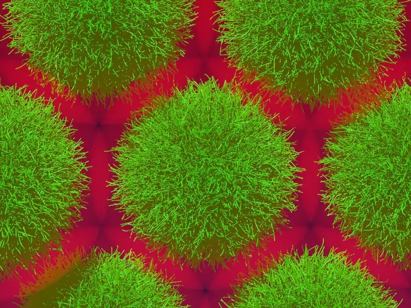Simulation-of-Microgels.webp