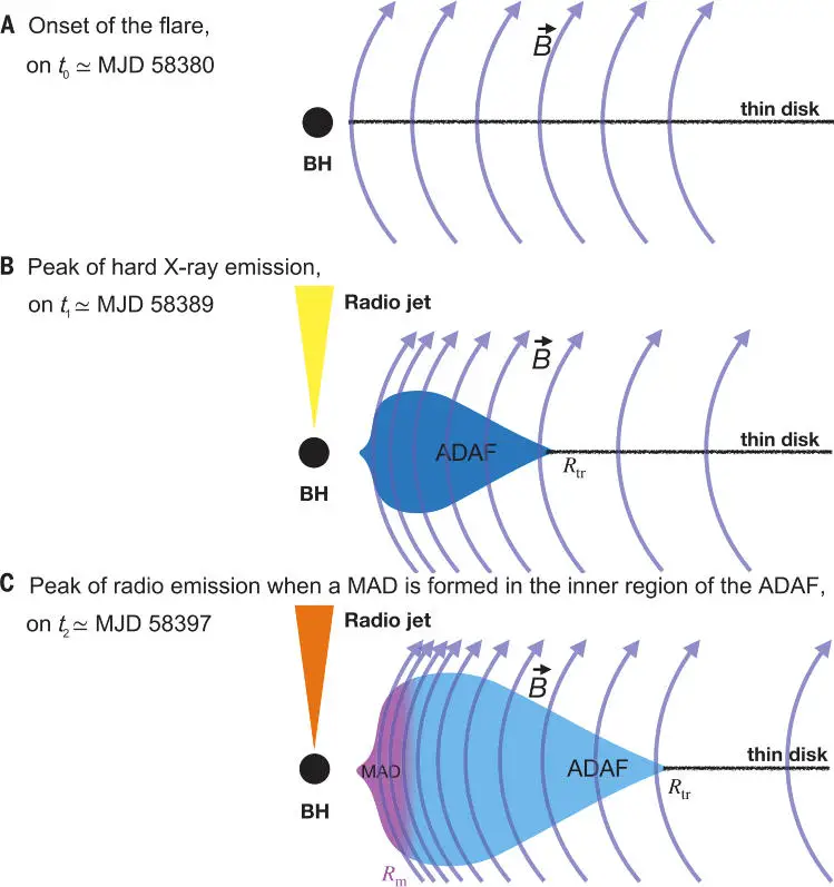 Schematic-Representation-of-Accretion-Flow-Magnetic-Field-and-Jet-Evolution.webp