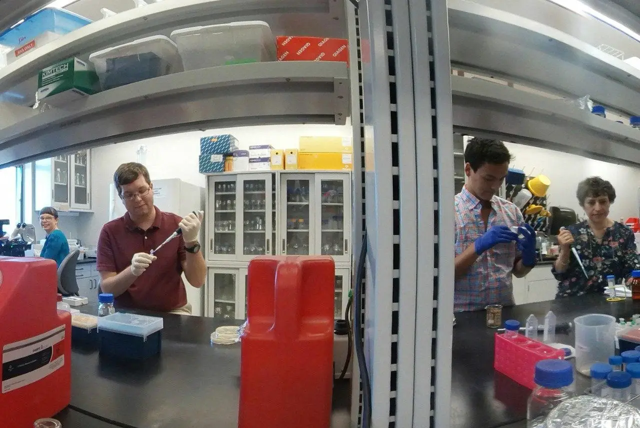 Members-of-the-Virginia-Tech-Hauf-Lab.webp