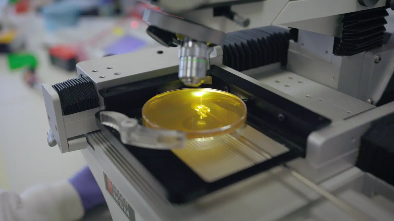 Yeast-Plate-on-Microscope-1536x864.webp