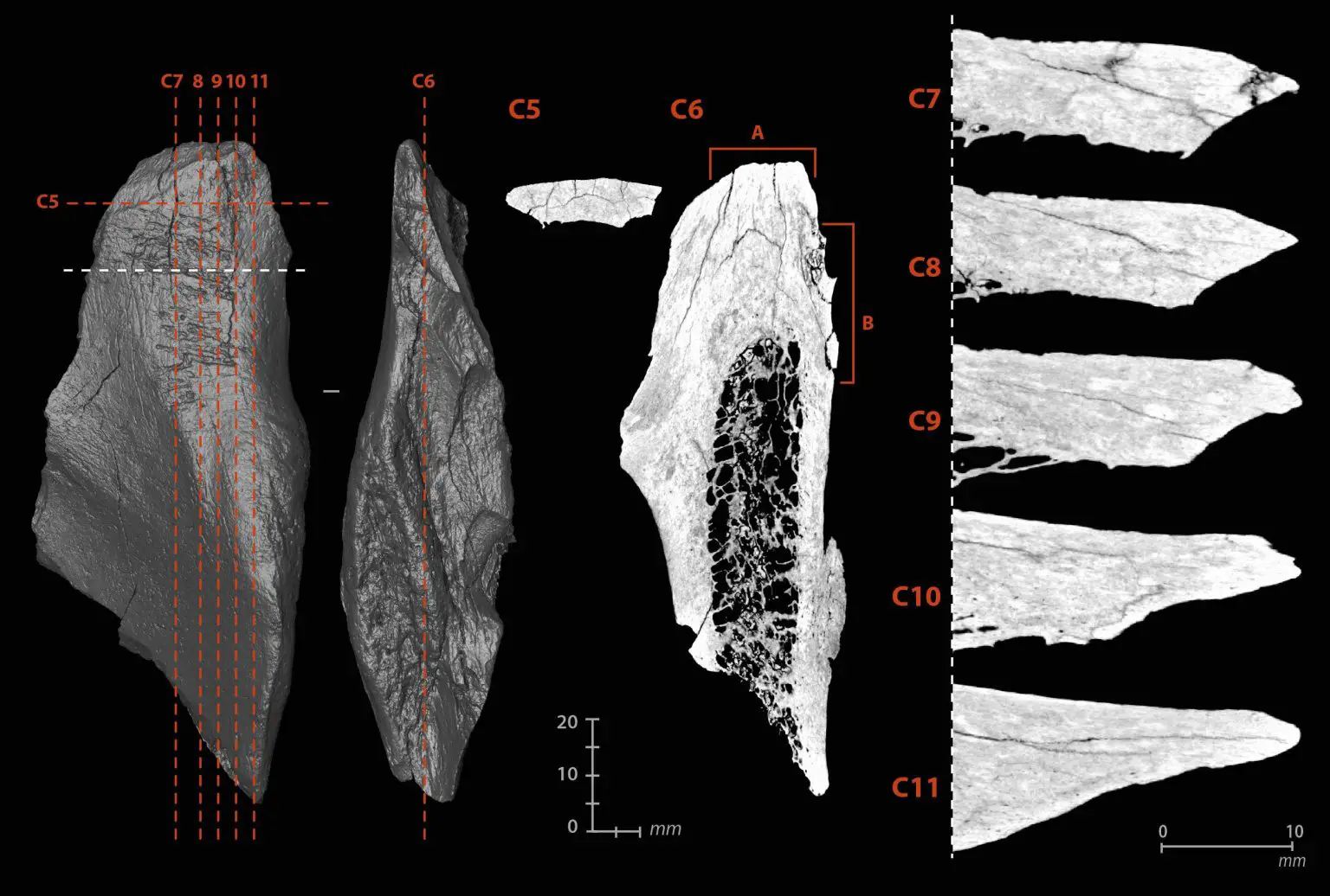 Micro-Tomographic-Views-of-the-Internal-Damage-of-the-Multi-Functional-Tool-1536x1036.webp
