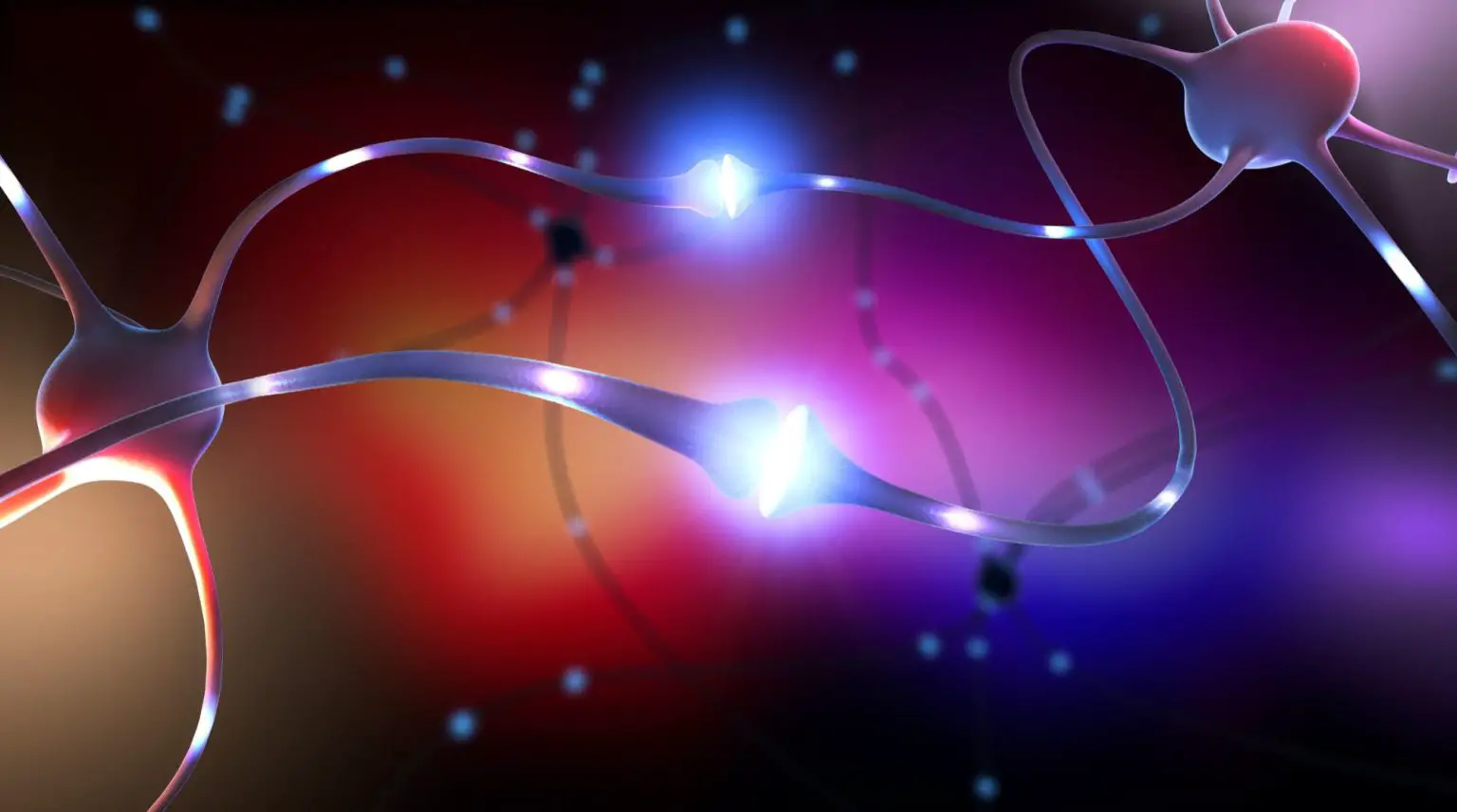 Brain-Neuron-Synapse-1536x856.webp