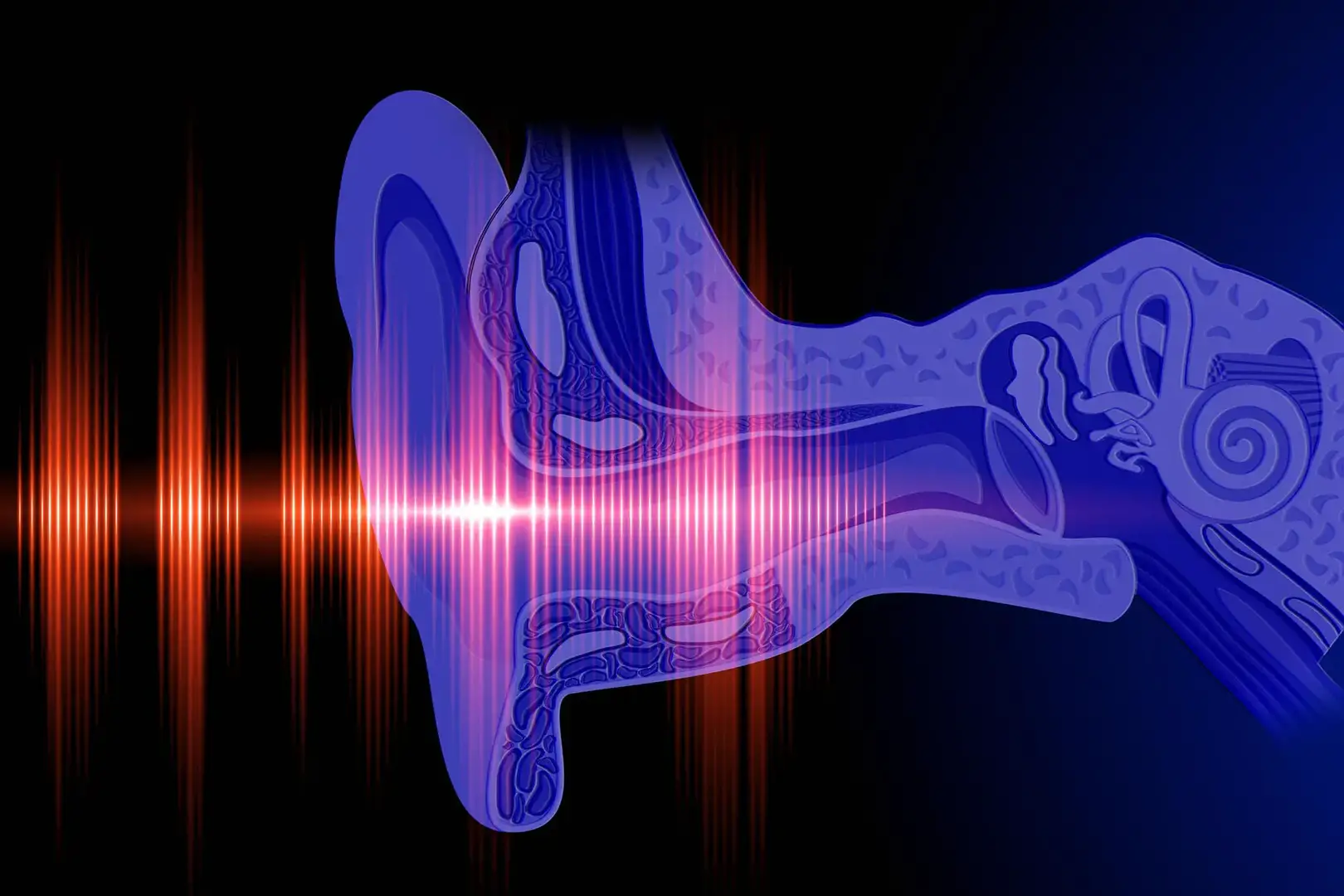 Ear-Hearing-Concept.webp