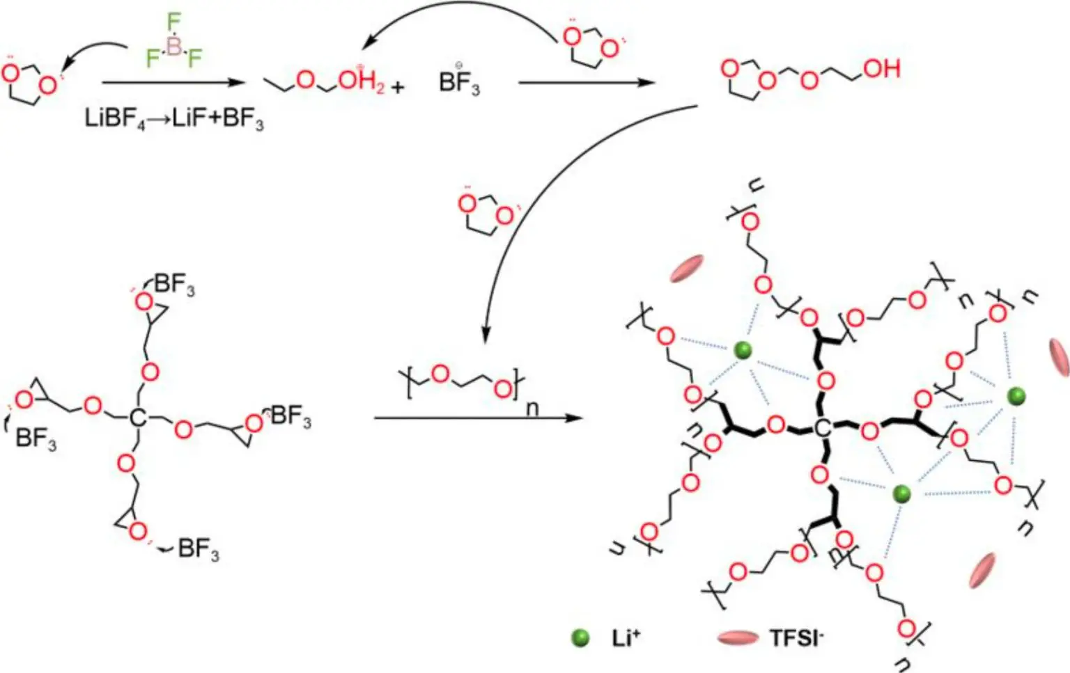 Intrinsic-Polymer-Electrolyte-Polymerization-Reaction-Path-1536x967.webp