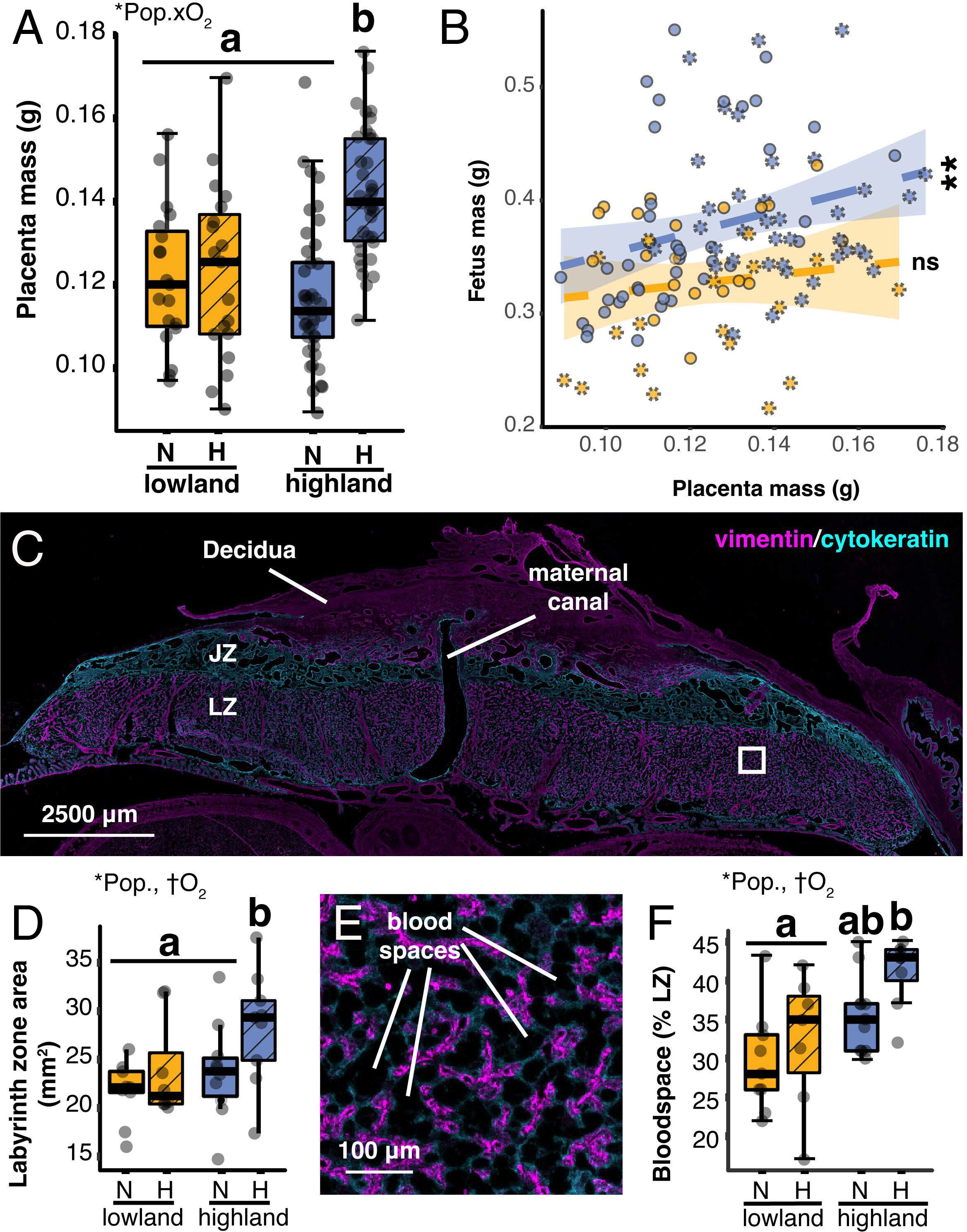 pnas.2218049120fig02.jpg