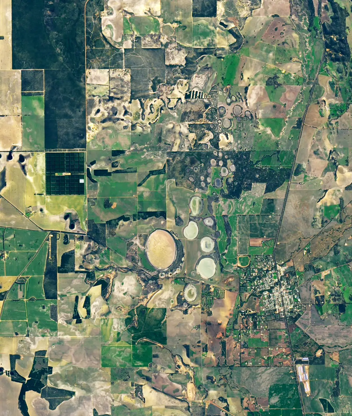 Australian-Fairy-Circles.webp