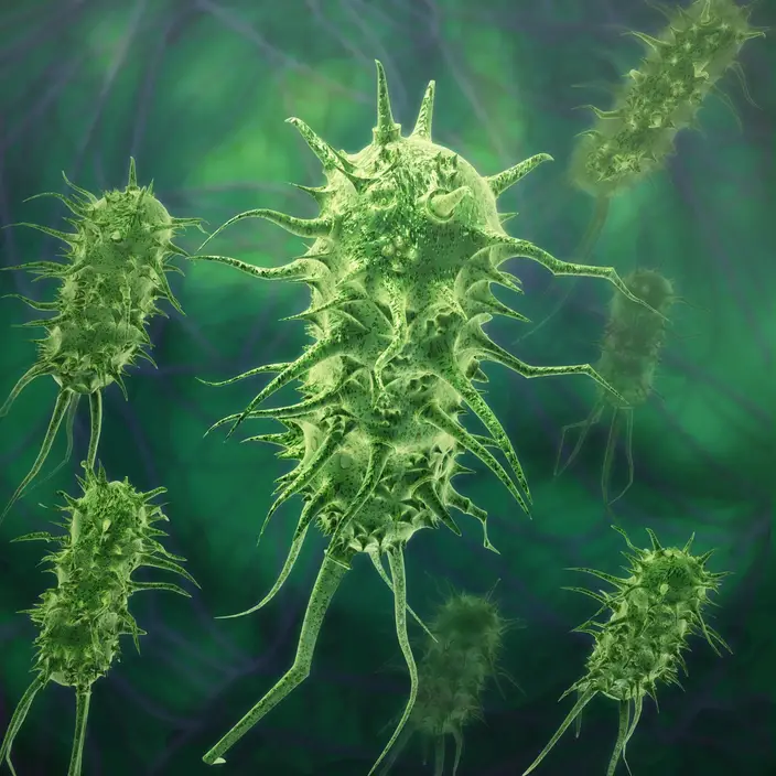 Green-Bacteria-Virus.webp