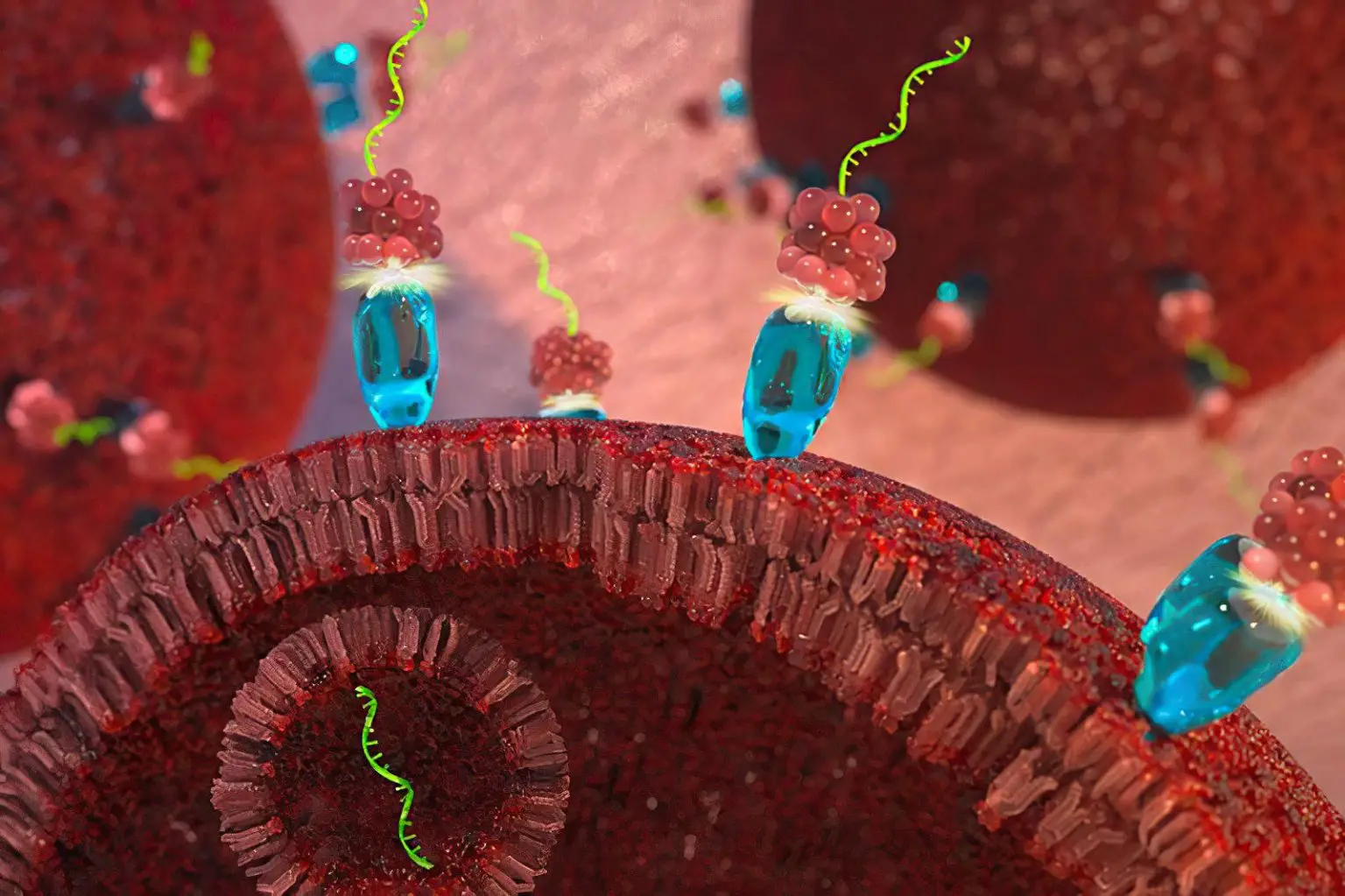 A-Targeted-Micro-RNA-Therapy-for-Cancer-1536x1023.webp